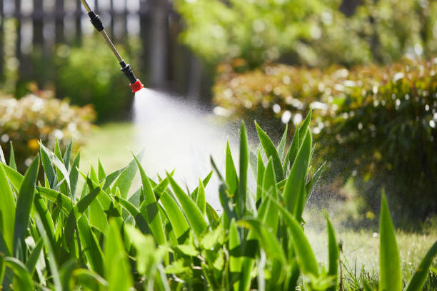 Void Injection for Cockroach Colonies in Valley Green