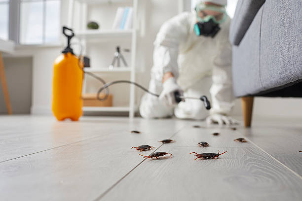 Commercial Kitchen Cockroach Control in Valley Green
